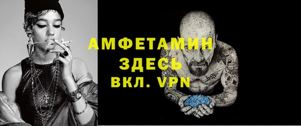 стаф Алзамай