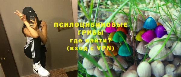 эйфоретик Абинск
