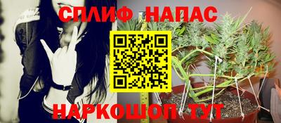 прущие крисы Лесосибирск