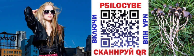 Псилоцибиновые грибы ЛСД гидра ССЫЛКА Зеленодольск хочу