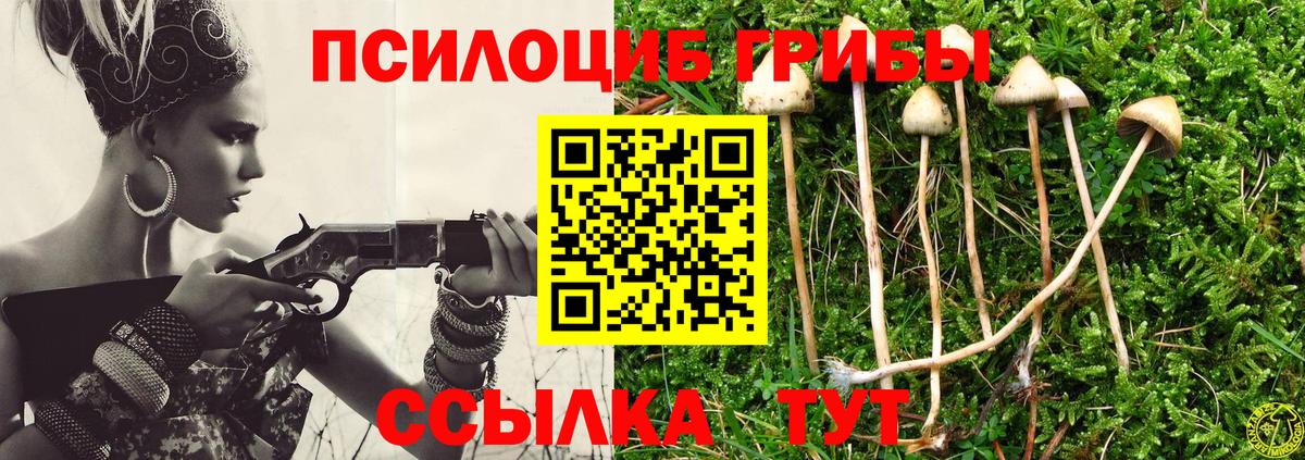 Зеленодольск  Галлюциногенные грибы GOLDEN TEACHER  где найти   Вход с VPN 
