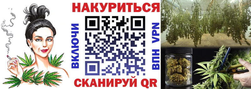 Бошки марихуана сатива  купить наркотик  Зеленодольск 